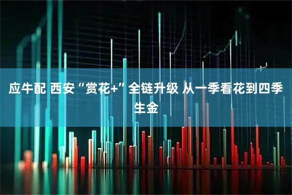 应牛配 西安“赏花+”全链升级 从一季看花到四季生金