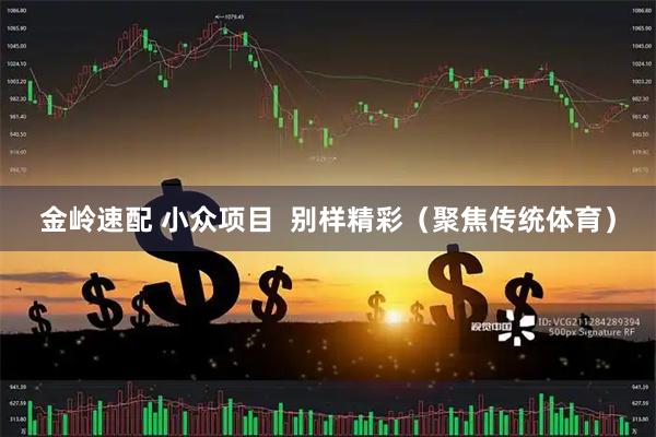 金岭速配 小众项目  别样精彩（聚焦传统体育）