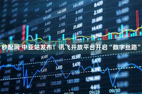 秒配网 中亚站发布！讯飞开放平台开启“数字丝路”
