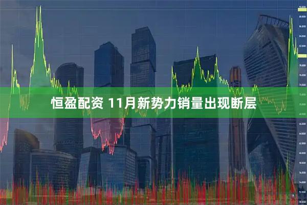 恒盈配资 11月新势力销量出现断层