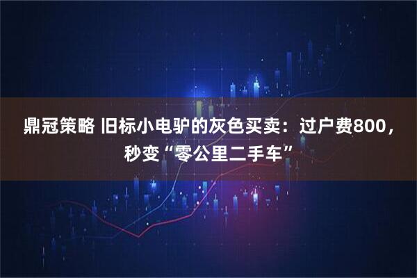 鼎冠策略 旧标小电驴的灰色买卖：过户费800，秒变“零公里二手车”