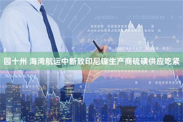 园十州 海湾航运中断致印尼镍生产商硫磺供应吃紧