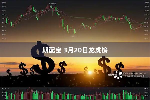 期配宝 3月20日龙虎榜