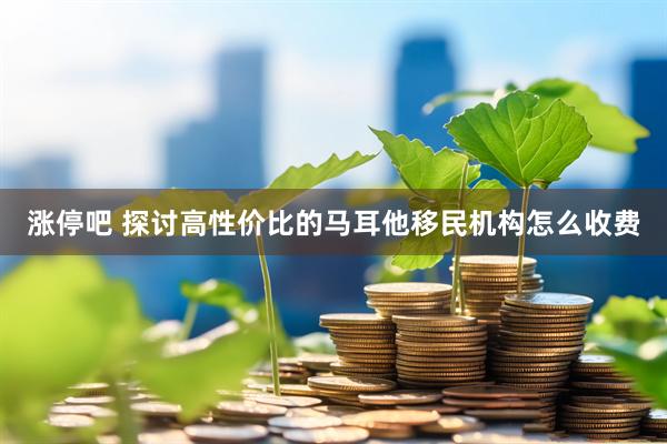 涨停吧 探讨高性价比的马耳他移民机构怎么收费