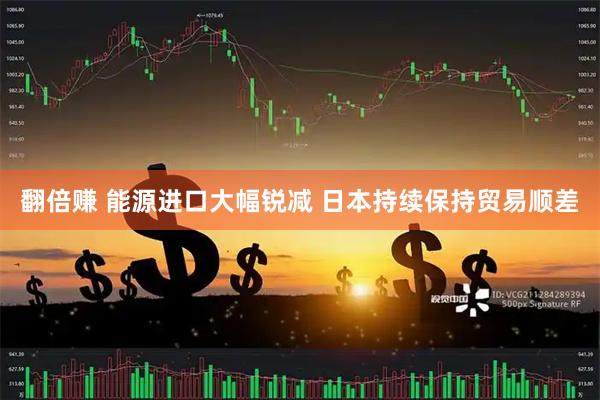 翻倍赚 能源进口大幅锐减 日本持续保持贸易顺差