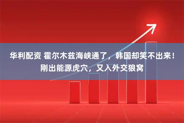 华利配资 霍尔木兹海峡通了，韩国却笑不出来！刚出能源虎穴，又入外交狼窝