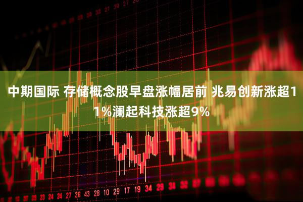 中期国际 存储概念股早盘涨幅居前 兆易创新涨超11%澜起科技涨超9%