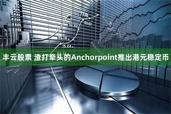 丰云股票 渣打牵头的Anchorpoint推出港元稳定币